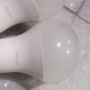 bulb